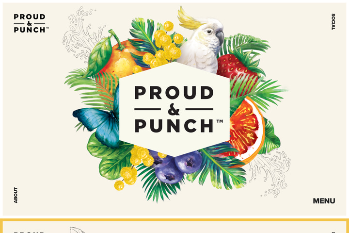 Proud & Punch website preview